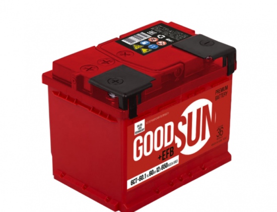 Поступление GOODSUN EFB
